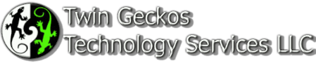 Twin Geckos Technology Services